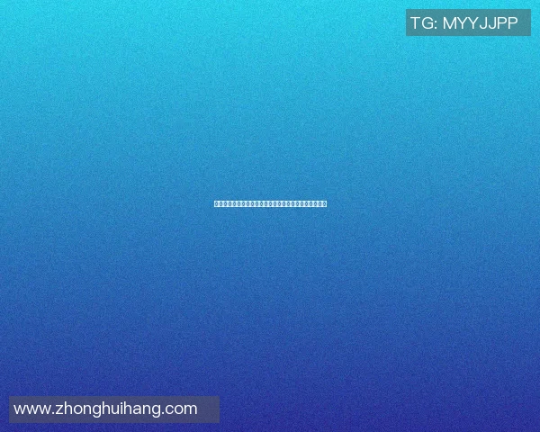 篮球明星与老奶奶的温情故事在球场上交织的梦想与坚持